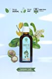 PANLIFE TAMANU YAĞI 100 ML   %100 Saf Analiz Sertifikalı ( Karışımsız )